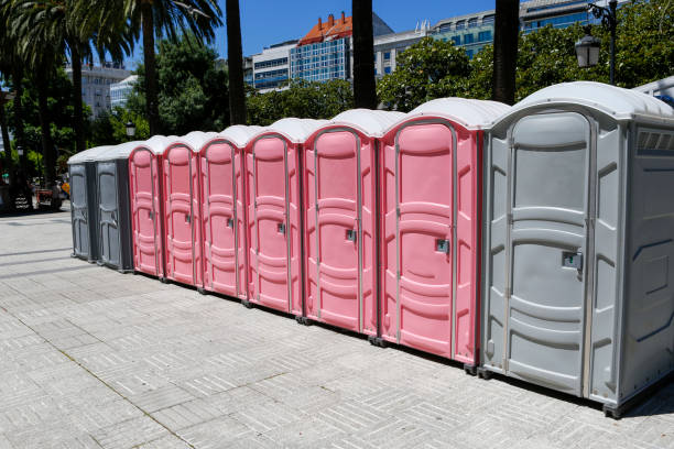 Best Portable Restroom Maintenance and Cleaning  in Perry Park, CO